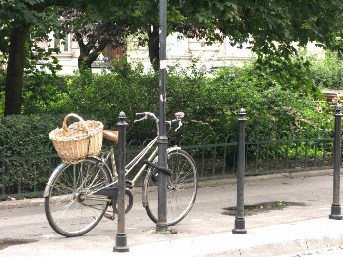 Hedges are best for combating vehicle pollution Hedges are best for combating vehicle pollution