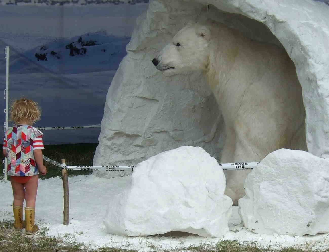 g2013-13_gpeacepolarbear1w1
