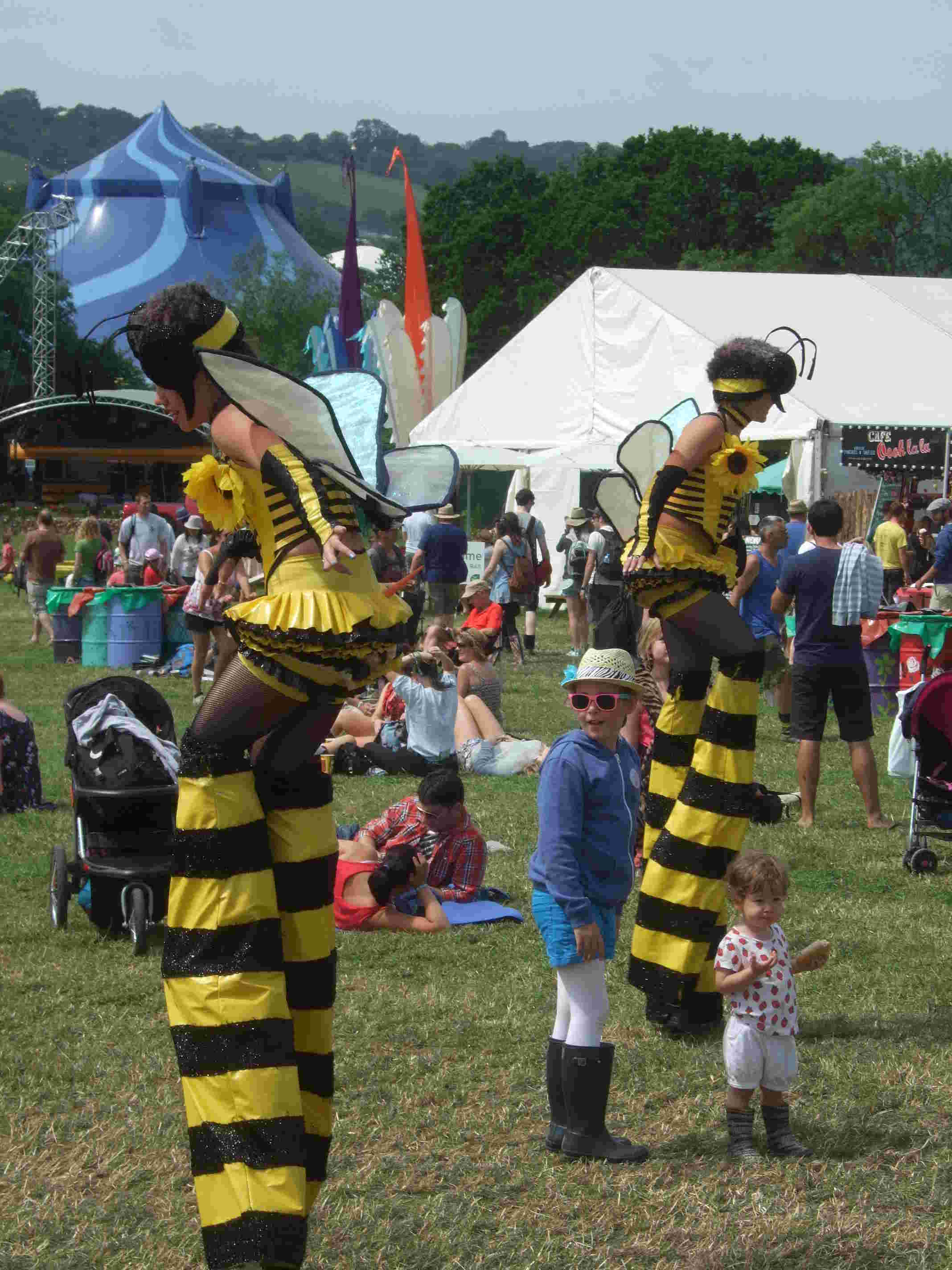 g2013-5_wasps1w