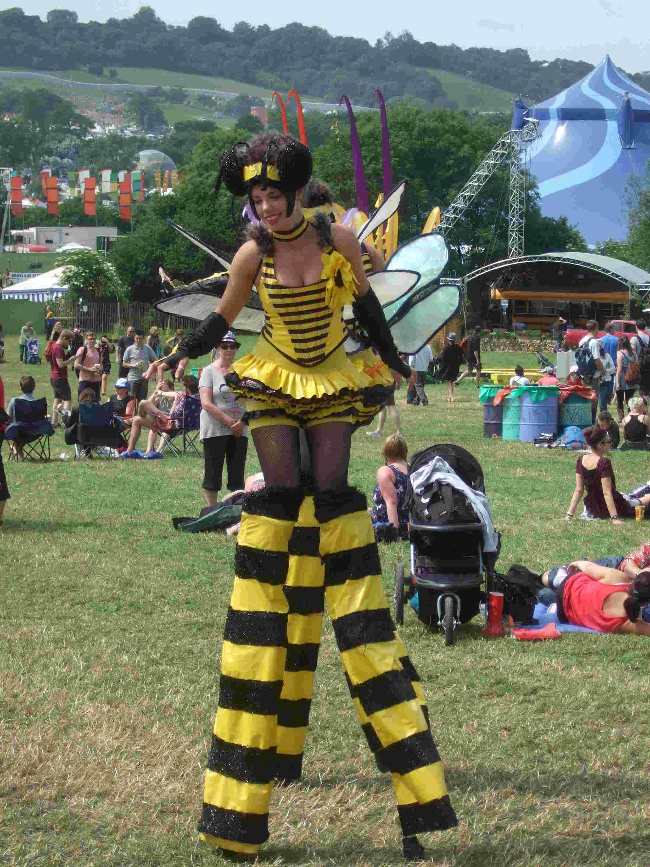 g2013-5_wasps2w