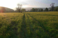 Yorkshire Dales sunset