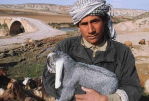 Syrian farmer